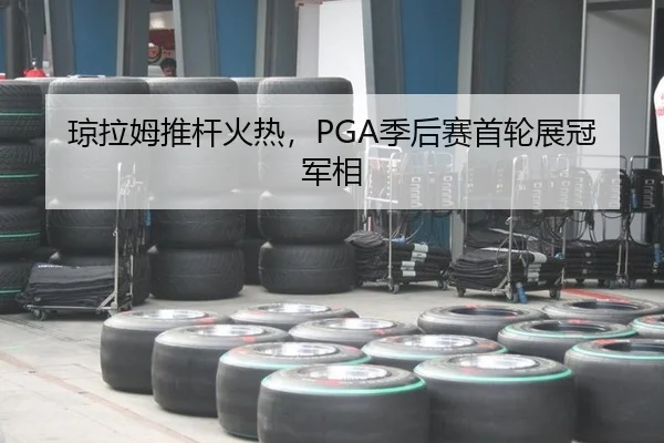 琼拉姆推杆火热，PGA季后赛首轮展冠军相