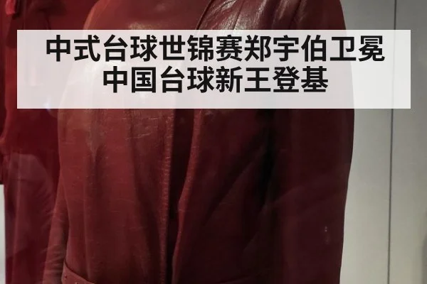 中式台球世锦赛郑宇伯卫冕中国台球新王登基