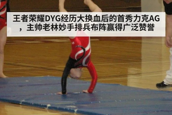王者荣耀DYG经历大换血后的首秀力克AG,主帅老林妙手排兵布阵赢得广泛赞誉